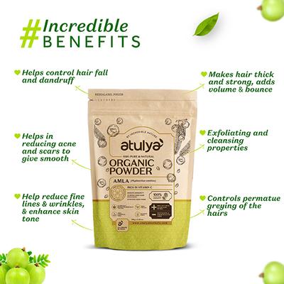 Atulya Amla Organic Powder 100 gm - Conditioners