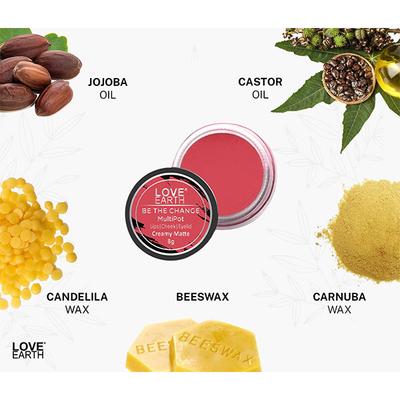 Love Earth Lip Tint & Cheek Tint Multipot-Be The Change - Rose Pink 8 gm - Lip Stains & Tints