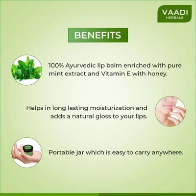 Vaadi Herbals Lip Balm - Mint 10 gm - Lip Balms