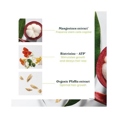 Rene Furterer Triphasic Progressive Concentrated Serum 44 ml - Hair Serums