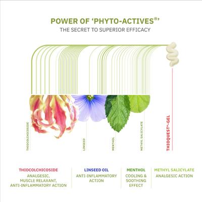 Thioquest Gel 30gm - Pain relief-Nsa