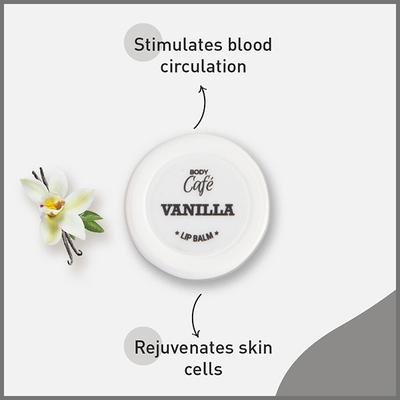 Bodycafe Vanilla Lip Balm 10 gm - Lip Balms
