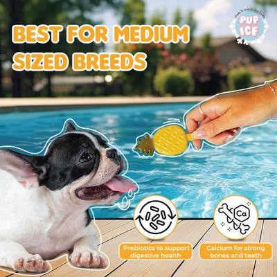Pup Ice Fruity Lollies Pineapple 90 g - Petfood
