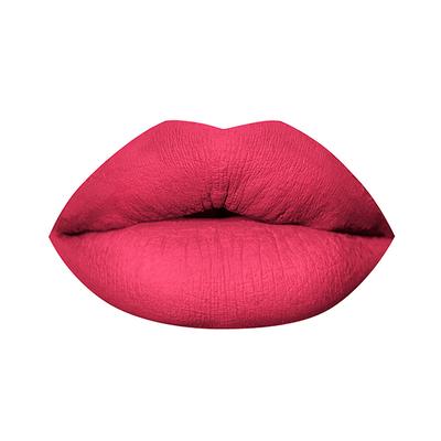 PAC Timeless Matte 12H Longlasting Rich Pigment One Swipe Payoff Smudgeproof - Love Potion (6.5 ml) - Liquid Lipsticks