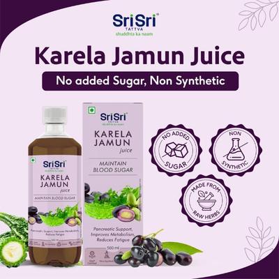 Sri Sri Tattva No Added Sugar Juice - Karela Jamun 500 ml - Ayurvedic Juices