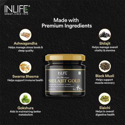 INLIFE Shilajit Gold Resin 20 gm - Sexual Care