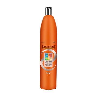 Aryanveda Coloured & Frizzy Hair Color Protect Shampoo For All Hair Type 1000 ml - Shampoos