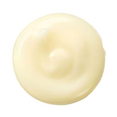 Shiseido Benefiance Wrinkle Smoothing Cream 50 ml - Lotions & Creams