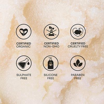Mintree Certified Organic Oil-Free Moisturizer, Brightens, Hydrates, and Nourishes Skin 60 gm - Face Moisturizers