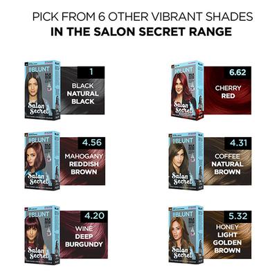 BBlunt Salon Secret High Shine creme Hair Colour Chocolate Dark Brown (50gm+50ml+8ml) 1's - Crème