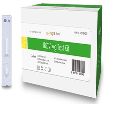 Anigen Rapid IBDV Ag Test Kit 10's - Pet Healthcare