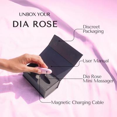 Libertee Dia Rose Mini Bullet Rechargeable Massager 12 Modes & Intensities 1's - Massagers And Vibrators