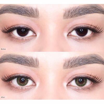 O-Lens Secriss 1Day Coloured Contact Lenses - Natural Green ( 0.00 ) 1's - Eyecare Lenses