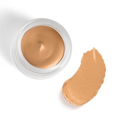PAC Studio HD Concealer Sheesham 12 gm - Concealer
