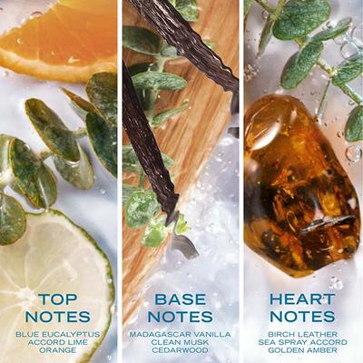 Nautica Pure Blue Eau De Toilette 100 ml - Men Perfumes (Edt/Edp)