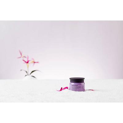 Innisfree Jeju Orchid Eye Cream 30 ml - Under Eye Creams & Serums
