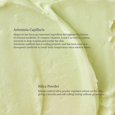 Beauty Of Joseon Matte Sun Stick Mugwort + Camelia 18 gm - Body Sunscreen