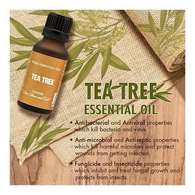 Nyassa Tea Tree Essential Oil 100% Pure & Natural 10 ml - Essential Oils