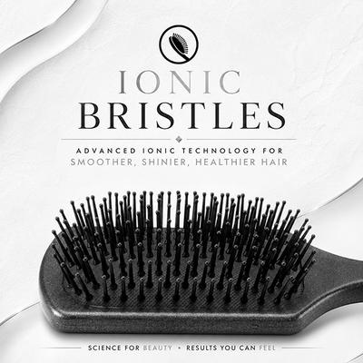 Vega Professional Paddle Hair Brush For Wet & Dry Hair, Smooth Bristles For Men, Women (Vpphb-06) - Hair Brushes