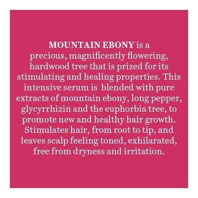 Biotique Mountain Ebony Anti Hair Fall Hair Serum 120ml - Hair Serums