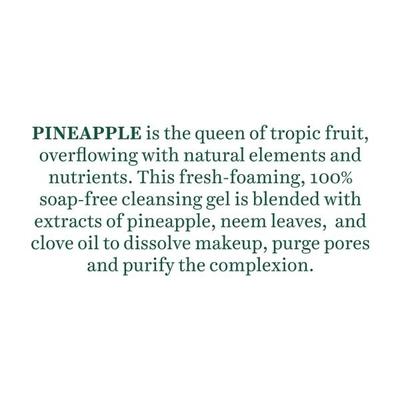 Biotique Pineapple Oil Control Foaming Face Cleanser for Normal to Oily Skin 120 ml - Face Wash & Cleansers