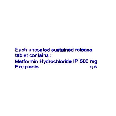 INFOMET 500mg Tablet 10's - Diabetes-Ant