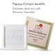 Hada Secrets Japan Sencha Green Tea Soap 125 gm - Soaps