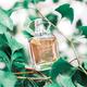 Escada Celebrate Life Eau De Parfum For Women 50 ml - Women Perfumes (Edt/Edp)
