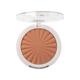 Mua Bronzed Matte Bronzing Powder 110 8 gm - Bronzers