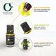 Organic Forest 100% VEGAN Camphor Essential Oil 10 ml - Essential Oils
