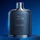 Jaguar Classic Chromite Eau de Toilette 100 ml - Perfumes (Edt/Edp)