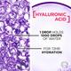 L'Oreal Paris Hyaluron Moisture 72H Moisture Filling Shampoo with Long lasting Hyaluronic Acid Dehydrated Hair 1000ml - Shampoos
