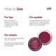 Love Earth Lip Tint & Cheek Tint Multipot-Seize The Day - Raspberry Pink 8 gm - Lip Stains & Tints