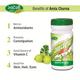 Swadeshi Amla Churna Powder 100 gm - Speciality Medicines