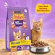 Nestle Purina Friskies Surfin Favourites Cat Food 6 kg - Petfood