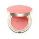 Clarins Joli Blush 06 5 gm - Blushes