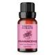Essentia Extracts Frankincense Essential Oil 15 ml - Essential Oils