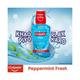 Colgate-Palmolive, Colgate Plax Antibacterial Mouthwash, 24/7 Fresh Breath (Pepper Mint) 250 ml - Mouthwash