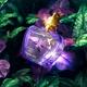 Jeanne Arthes Amore Mio Forbidden Fruit Eau de Parfum 100 ml - Women Perfumes (Edt/Edp)