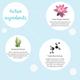 Dot & Key Deep Pore Clean Milky Foam Cleanser 120 ml - Face Wash & Cleansers