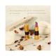 SoulTree Ayurvedic Lipcare Colour Rich Iced Plum 520 4gm - Lipsticks