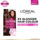 L'Oreal Paris Casting Creme Gloss Hair Color, 530 Praline Brown 87.5g+72ml 1's - Crème