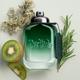 Coach Green Edt 100 ml - Men Perfumes (Edt/Edp)