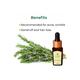 Organic Harvest Essential Oil - Rosemary 10 ml - Essential Oils