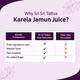 Sri Sri Tattva No Added Sugar Juice - Karela Jamun 500 ml - Ayurvedic Juices