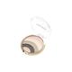Miss Rose 5 Color Eyeshadow/Highlighter 7001 - 383 N06 10 gm - Eyeshadow, Bases & Primers