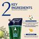 L'Occitane En Provence Purifying Freshness Shampooing Conditioner Eco Reacharge Refill 500ml - Conditioners