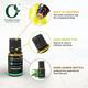 Organic Forest 100% VEGAN Rosemary Essential Oil 10 ml - Essential Oils