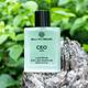 Bella Vita Organic Ceo Men Perfume Office Wear 100 ml - Men Perfumes (Edt/Edp)