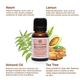 Bella Vita Organic Belly Drops Ayurvedic Navel Oil 15 ml - Massage Oils